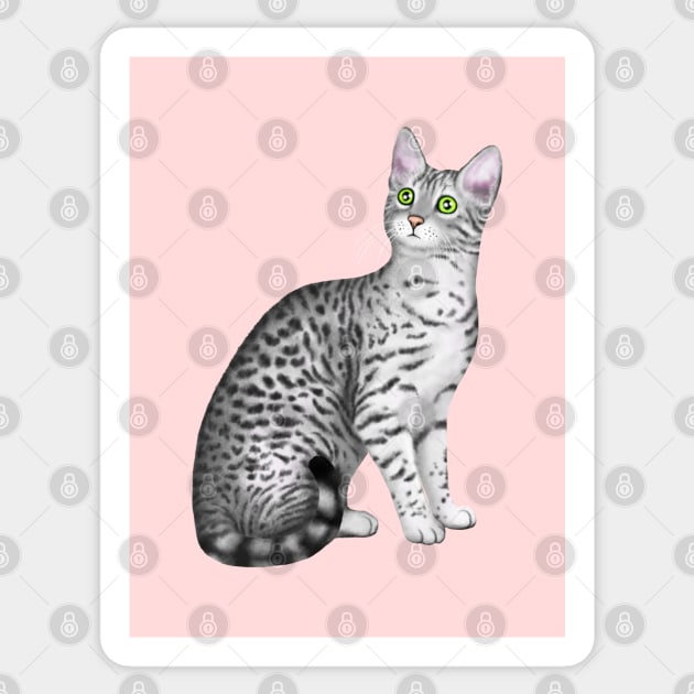 Egyptian Mau (Pink Background) Sticker by illucalliart